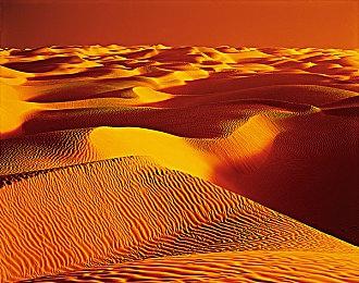 《战地2042》记分牌改动延期至3月推出