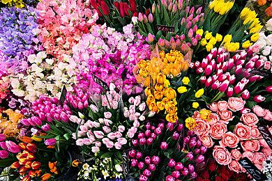 《宝可梦传说：阿尔宙斯》13分钟演示公开 大量细节展示